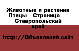 Животные и растения Птицы - Страница 2 . Ставропольский край